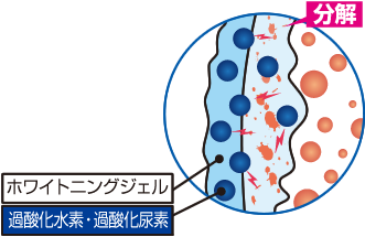 ホワイトニングによる色素の分解